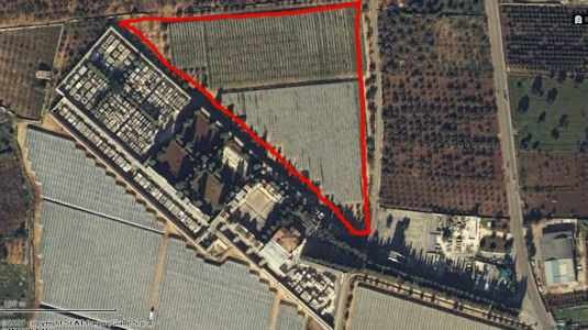 cimitero_ampliamento