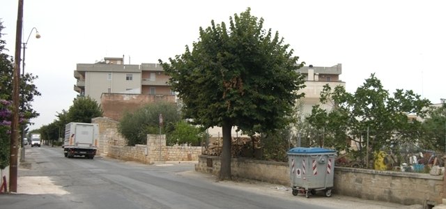 petizione_rutigliano_3