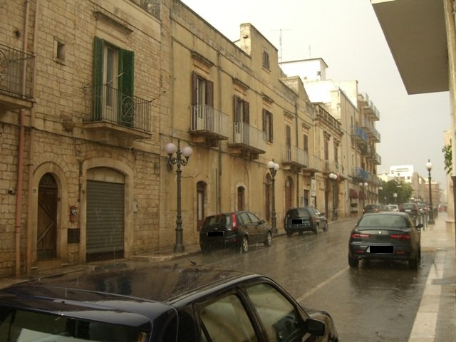 turi_diluvio4
