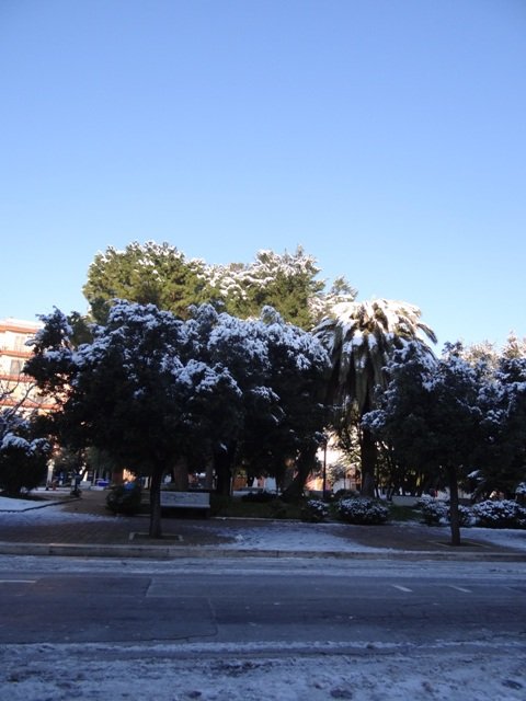 neve 15 feb05