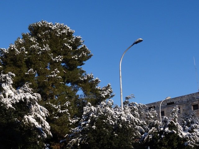 neve 15 feb08