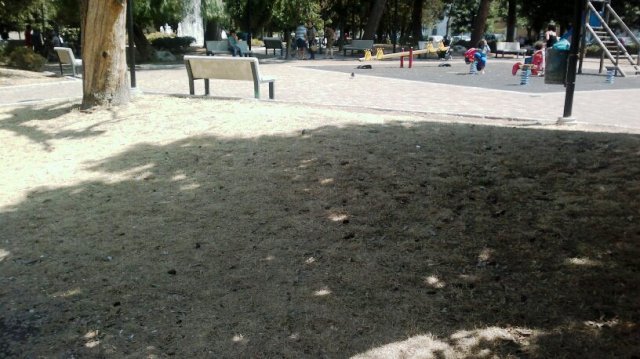 Il degrado della villa comuanle 11
