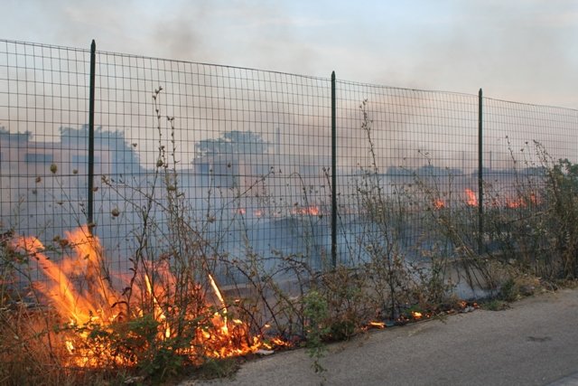 Le fiamme vicino al ponte di via Cisterna