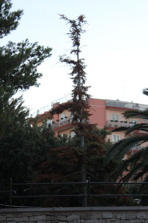 IMG 9844