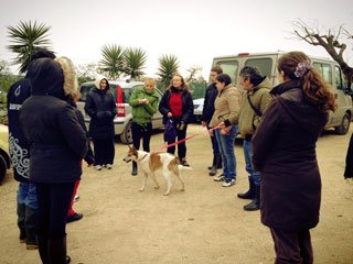 pet-therapy-turi-2